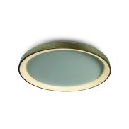 ONE Light LED Décoratif - plafonnier - Ø 58 x 5,7 cm - 48W LED inclus - or brossé