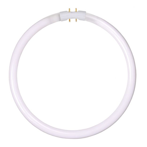 ampoule circulaire T5 - 2GX13 - 32W - blanc