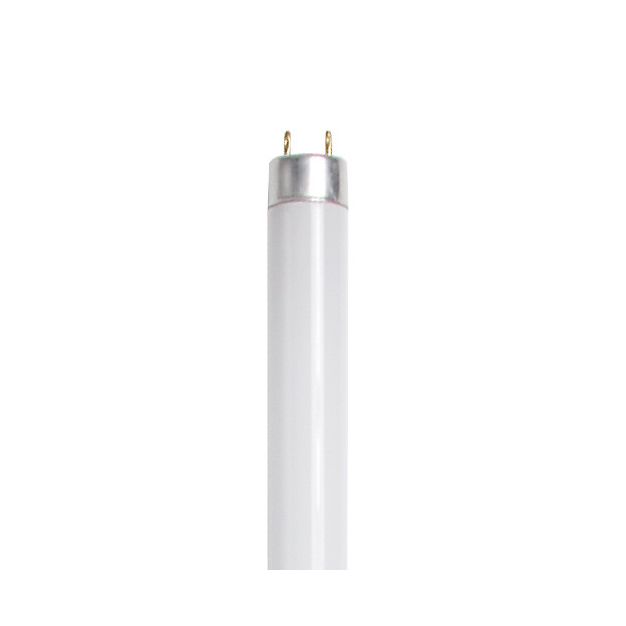 tube fluorescent T8 - G13 - 30W - blanc (fin de série)
