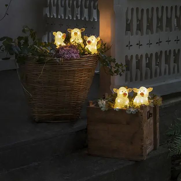Konstsmide Lumières de Noël - cochons - 10 x 8 x 12 cm - IP44 - transparent