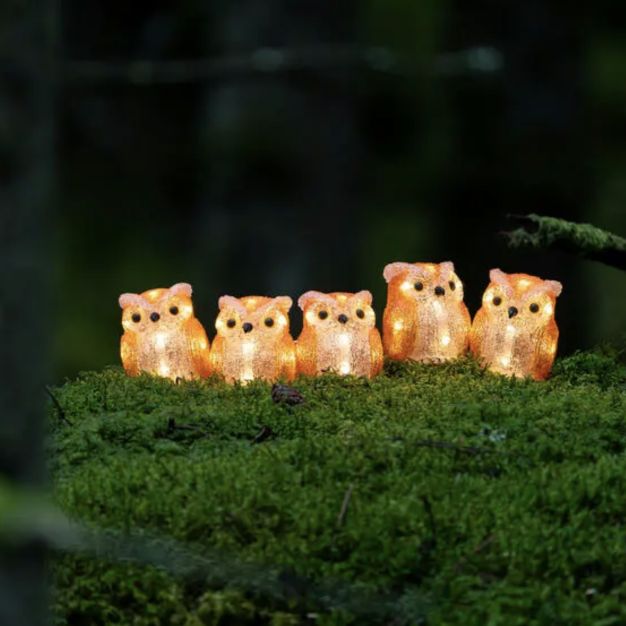 Konstsmide Lumières de Noël - 5 oiseaux décoratifs - 11 x 7 x 400 cm - IP44 - orange