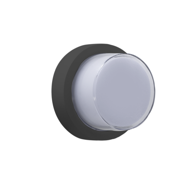 Century Italia Pura - lampe murale/plafonnier - Ø 17 x 10 cm - 10W LED inclus - IP65 - anthracite