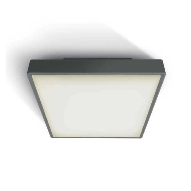 ONE Light LED Plafo Outdoor Square - plafonnier extérieur - 22,1 x 22,1 x 5,7 cm - 16W LED inclus - IP65 - anthracite