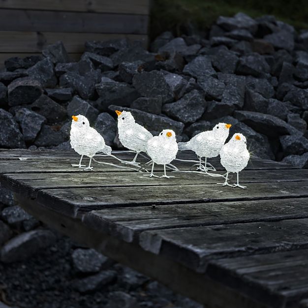 Konstsmide Lumières de Noël - set d'oiseaux décoratifs (5 pièces) - 16 x 11,5 x 400 cm - IP44 - transparent