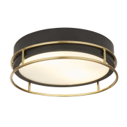 Searchlight Phoenix - plafonnier - Ø 30 x 10 cm - IP44 - noir et laiton