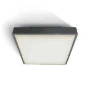 ONE Light E27 Plafo Outdoor Square - plafonnier extérieur - 29,5 x 29,5 x 10,5 cm - IP65 - anthracite