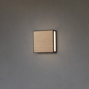 Nova Luce Astral - applique murale et plafonnier extérieur - 22 x 22 x 8,7 cm - 16W LED inclus - IP65 - anthracite foncé et bois