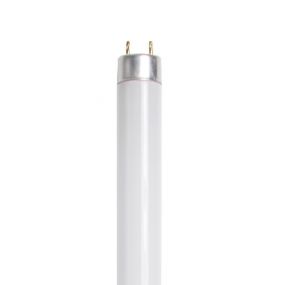 tube fluorescent T8 - G13 - 30W - blanc (fin de série)