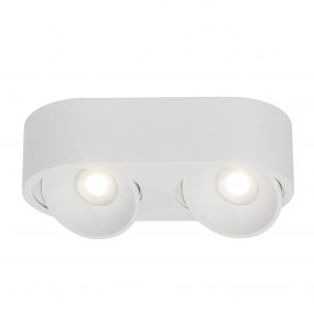 AEG Leca - spot 2L -  26 x 13 x 7 cm - 2 x 10W LED à intensité variable incl. - blanc