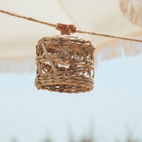 New Garden Alba - guirlande lumineuse solaire - guirlande de 8 mètres avec cordon de 3 mètres - 10 ampoules LED incluses - IP44 - marron