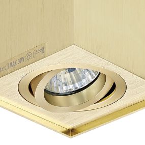 Zuma Line Quadro - spot en saillie 1L - 9 x 12 cm - or brossé