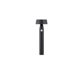 Nova Luce Chiaro - lampe de jardin sur pique - Ø 17 x 50 cm - 1W LED inclus - IP54 - noir sablé