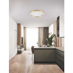 Nova Luce Istos - plafonnier - Ø 50 x 5 cm - 38W dimmable LED inclus - or brossé