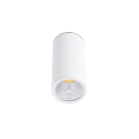 Faro Rel - plafonnier - Ø 7,5 x 16,5 cm - 15W LED inclus - blanc mat