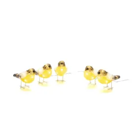 Konstsmide Lumières de Noël - oiseaux - 10 x 16 x 500 cm - IP44 - transparent