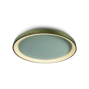 ONE Light LED Décoratif - plafonnier - Ø 58 x 5,7 cm - 48W LED inclus - or brossé