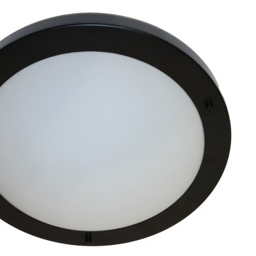 Artdelight Yuca - plafonnier de salle de bains - Ø 30 cm - IP44 - noir