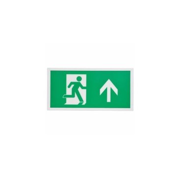 Integral LED Slim Line - signalisation de sortie de secours - 39,4 x 19,5 x 2,6 cm - LED 1,5 W incluse - vert