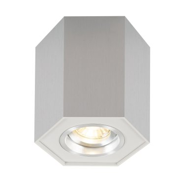 Zuma Line Polygon CL R- spot en saillie 1L - 12 cm - argent