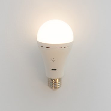 New Garden Lapera - ampoule LED E27 rechargeable et dimmable avec télécommande - Ø 6,7 x 13 cm - E27 - 350lm - 3000 à 6000K