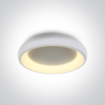 ONE Light LED Décoratif - plafonnier - Ø 40 x 8,5 cm - 30W LED inclus - blanc - couleur de lumière réglable