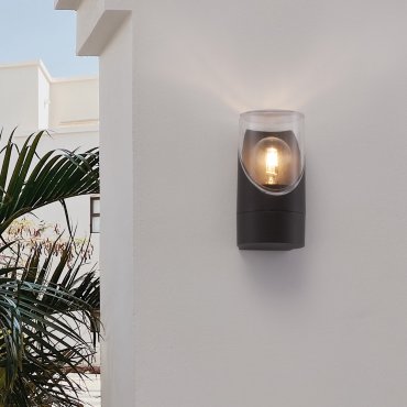 Nova Luce Selena - applique murale extérieure - Ø 9 x 17,1 x 10,1 cm - IP65 - anthracite foncé