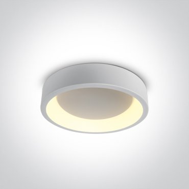 ONE Light LED Decorative Plafo Round - plafonnier - Ø 45,5 x 13,2 cm - 32W LED inclus - blanc - couleur de lumière réglable