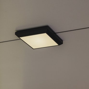 Lutec Helena - applique/plafonnier - 22 x 22 x 3,6 cm - 21,5W LED inclus - gris foncé - blanc