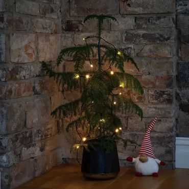 Konstsmide - Guirlande lumineuse à LED alimentée par piles - 335 cm - 20 x 0,06W inclus - blanc chaud couleur de lumière - transparent