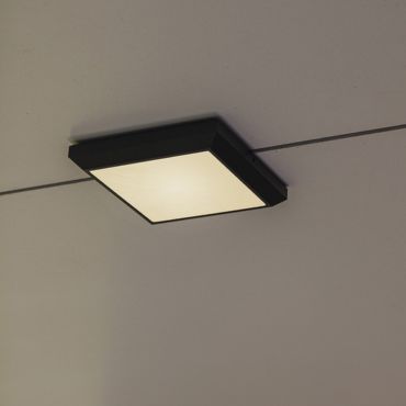 Lutec Helena - applique/plafonnier - 22 x 22 x 3,6 cm - 21,5W LED inclus - gris foncé - blanc