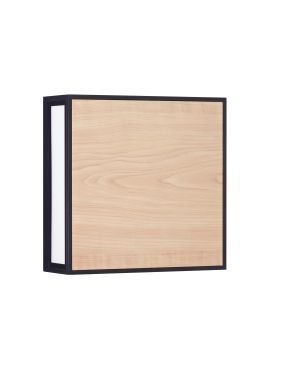 Nova Luce Astral - applique murale et plafonnier extérieur - 22 x 22 x 8,7 cm - 16W LED inclus - IP65 - anthracite foncé et bois