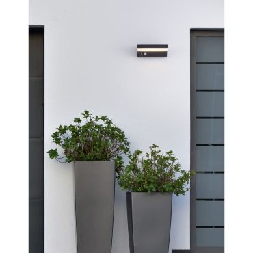 Nova Luce Dyn - Applique d'extérieur avec capteur solaire et interrupteur - 16 x 11,5 x 6 cm - 1,5W LED dimmable inclus - IP65 - anthracite