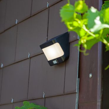 Lutec Try - Applique d'extérieur avec capteur solaire - 12,5 x 11,8 x 6,9 cm - 8W LED inclus - IP54 - noir