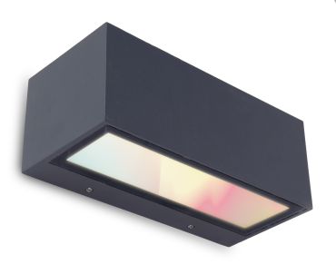 Lutec Gemini - applique murale extérieure - éclairage intelligent - Lutec Connect - 22 x 10,3 x 8,5 cm - 17W LED inclus - RGB - IP54 - gris foncé